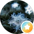 Deashenka Avatar